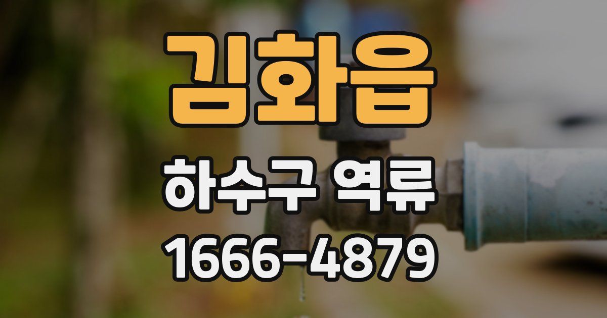김화읍 하수구 역류