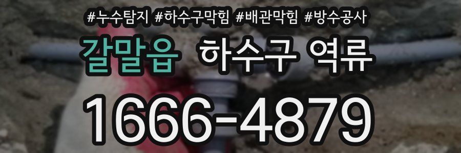 갈말읍 하수구 역류