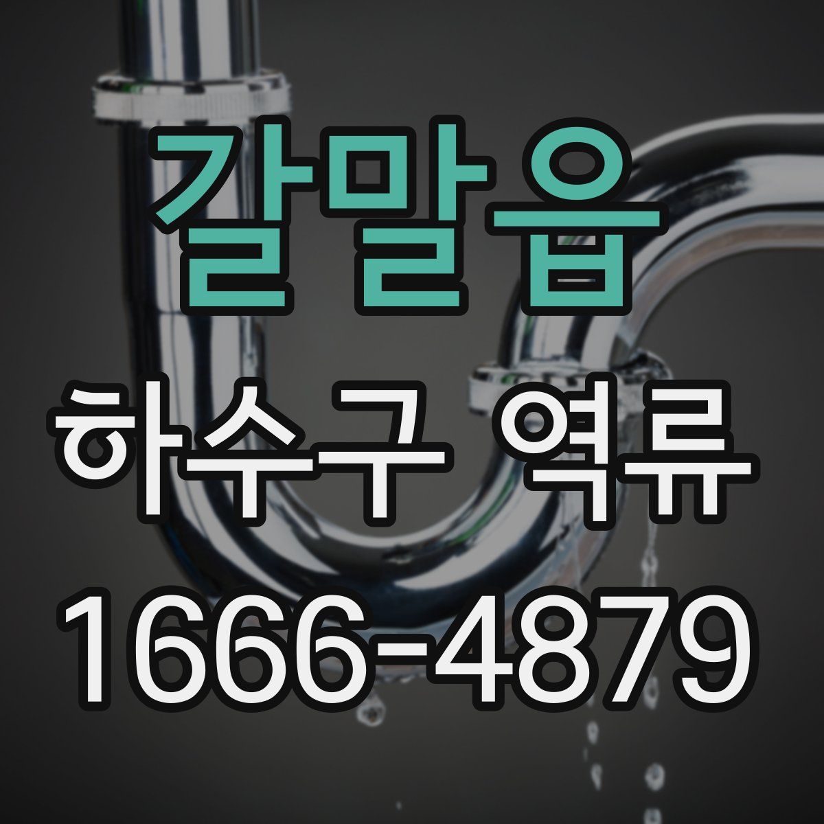 갈말읍 하수구 역류