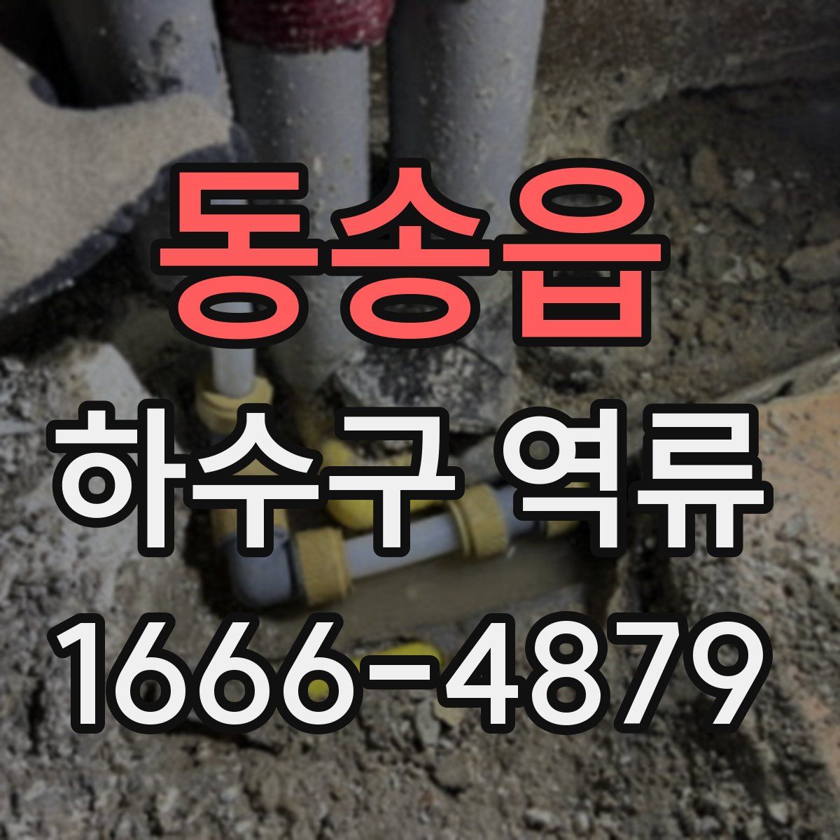 동송읍 하수구 역류