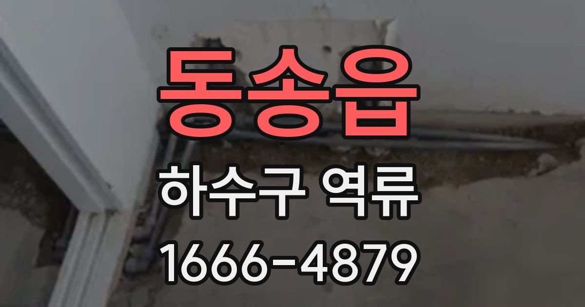 동송읍 하수구 역류