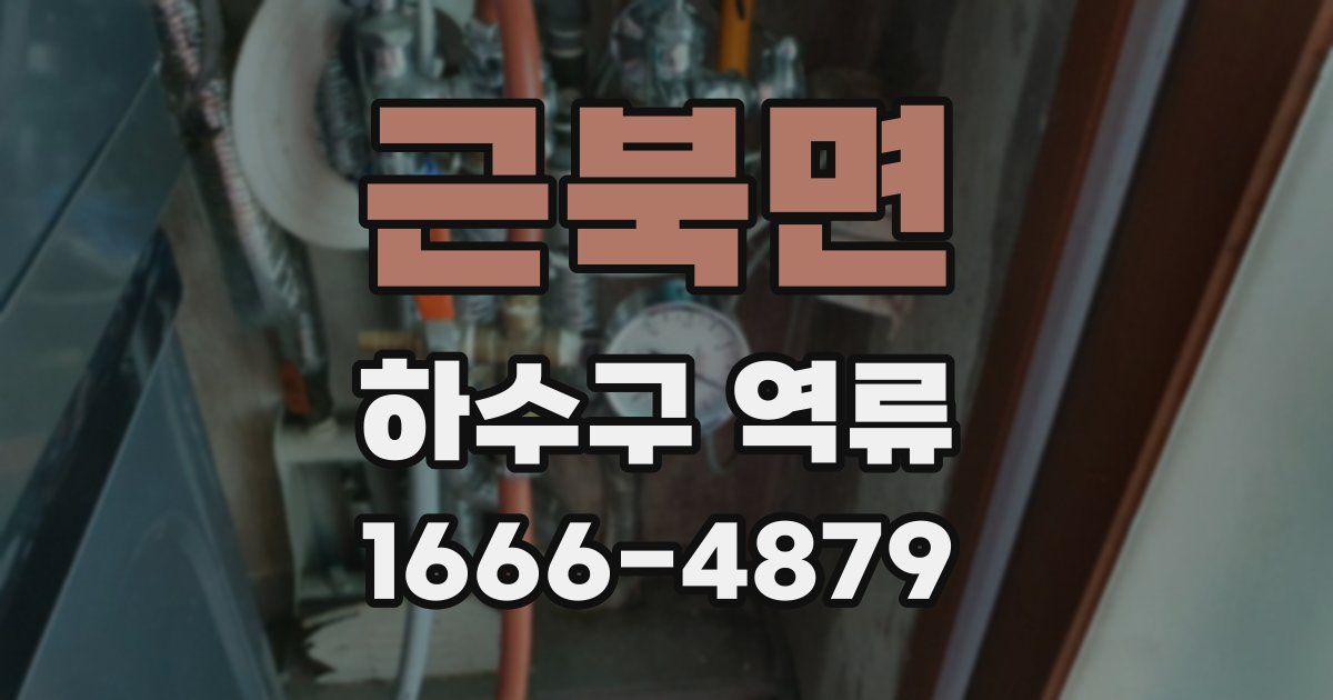 근북면 하수구 역류