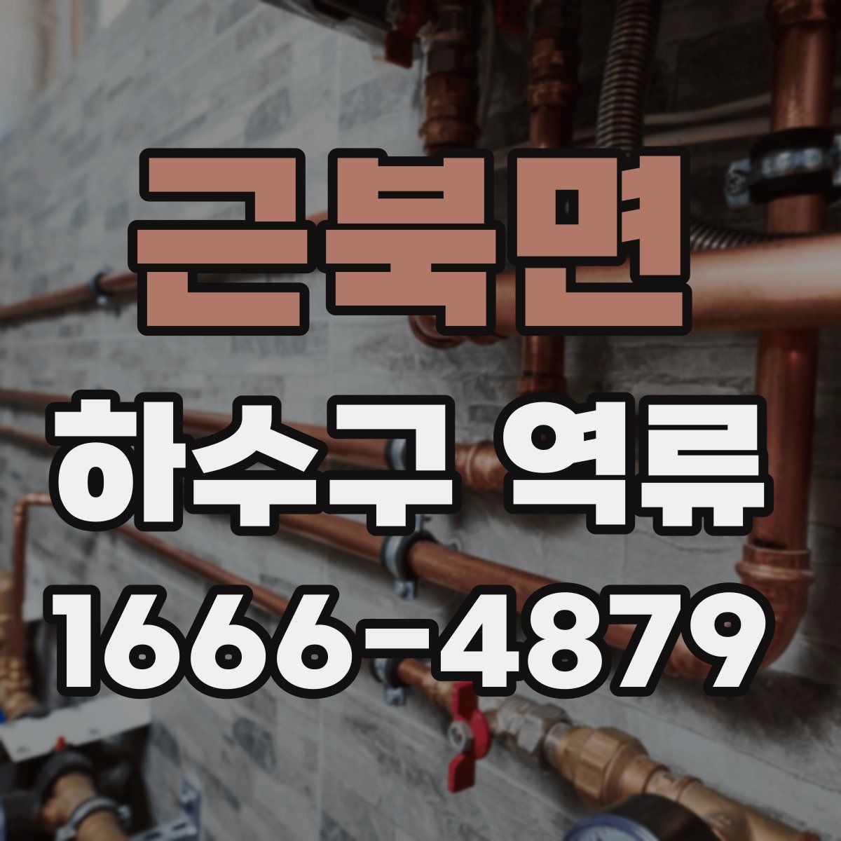 근북면 하수구 역류
