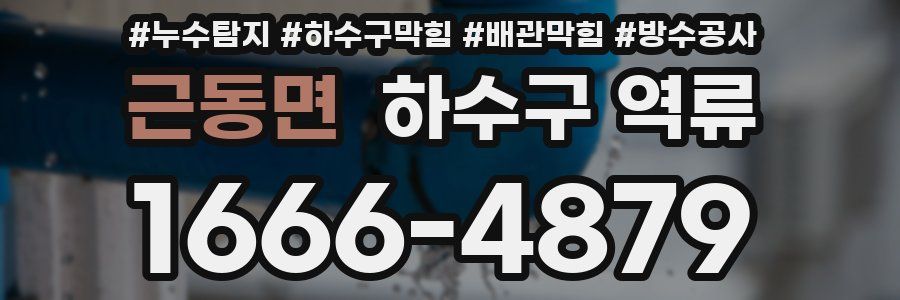 근동면 하수구 역류