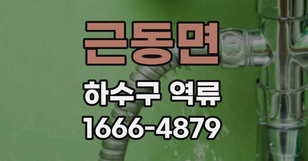 근동면 하수구 역류