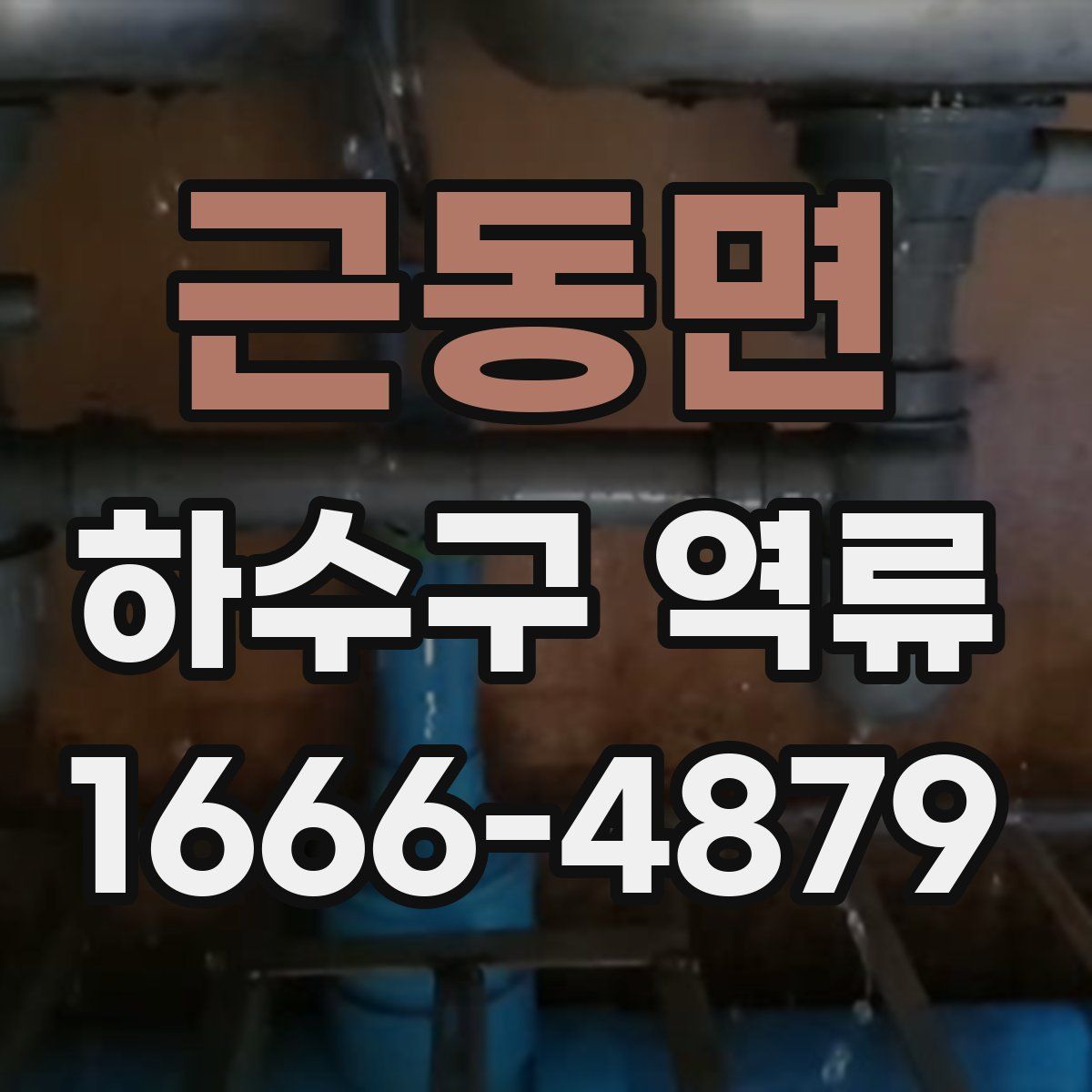 근동면 하수구 역류