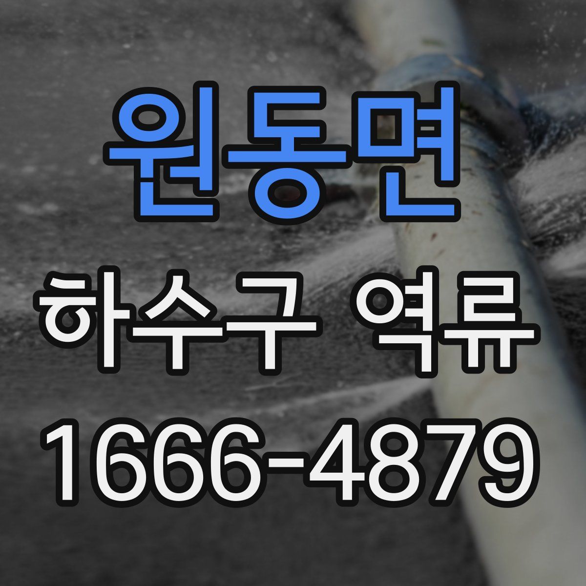 원동면 하수구 역류
