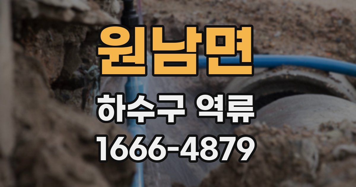 원남면 하수구 역류