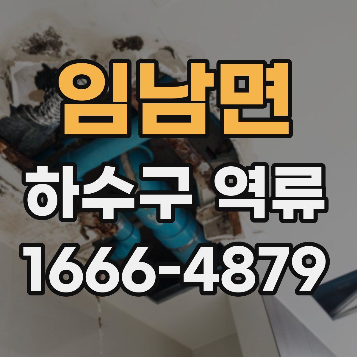 임남면 하수구 역류