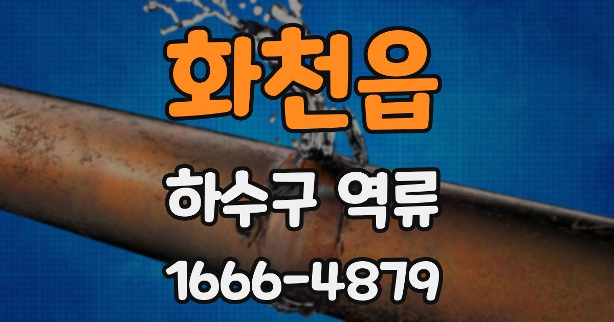 화천읍 하수구 역류