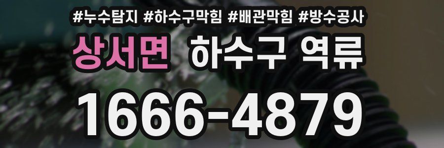 상서면 하수구 역류