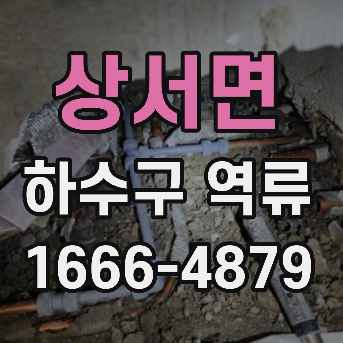상서면 하수구 역류
