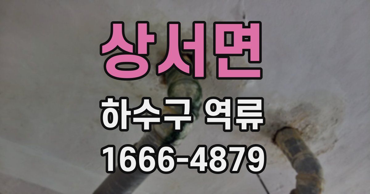 상서면 하수구 역류