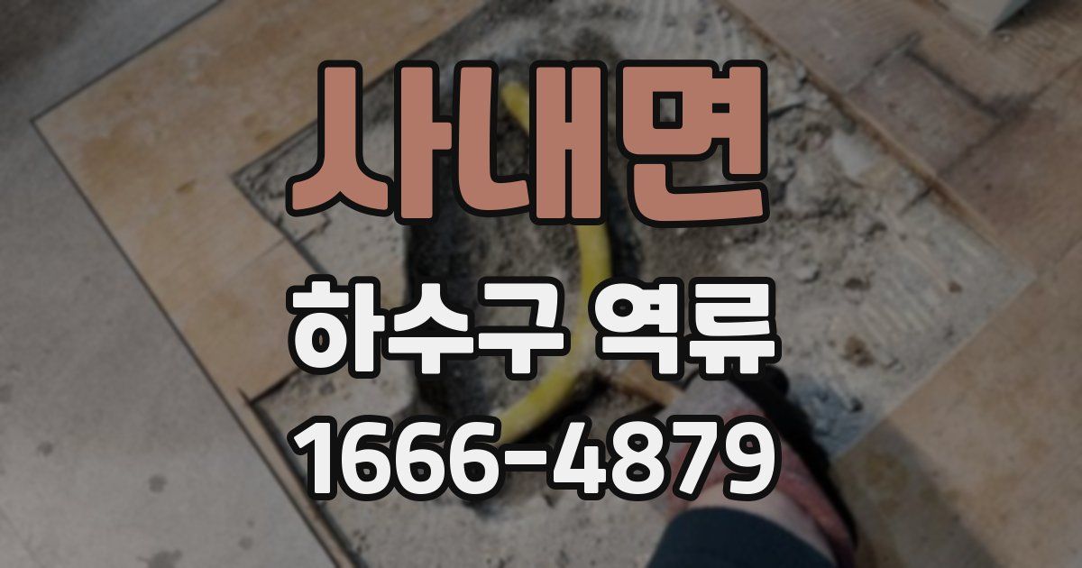 사내면 하수구 역류