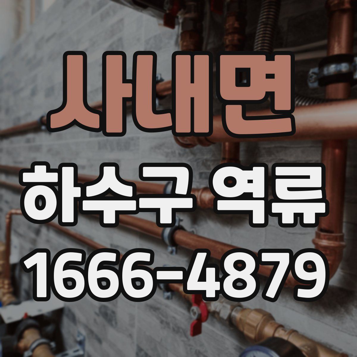 사내면 하수구 역류