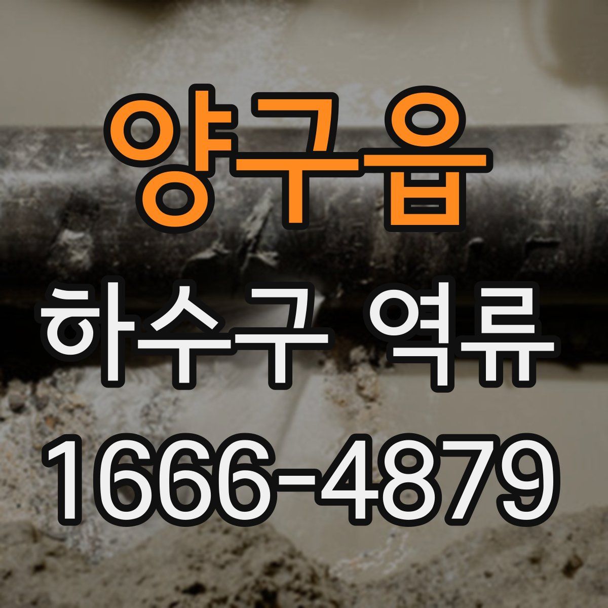 양구읍 하수구 역류