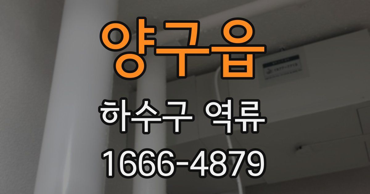 양구읍 하수구 역류