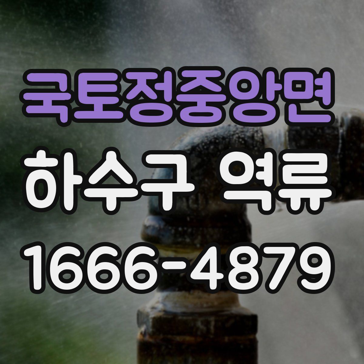 국토정중앙면 하수구 역류