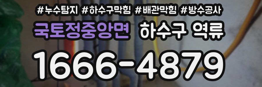국토정중앙면 하수구 역류