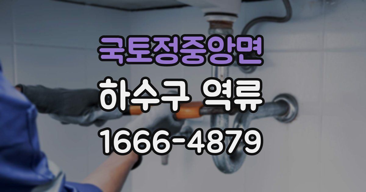 국토정중앙면 하수구 역류