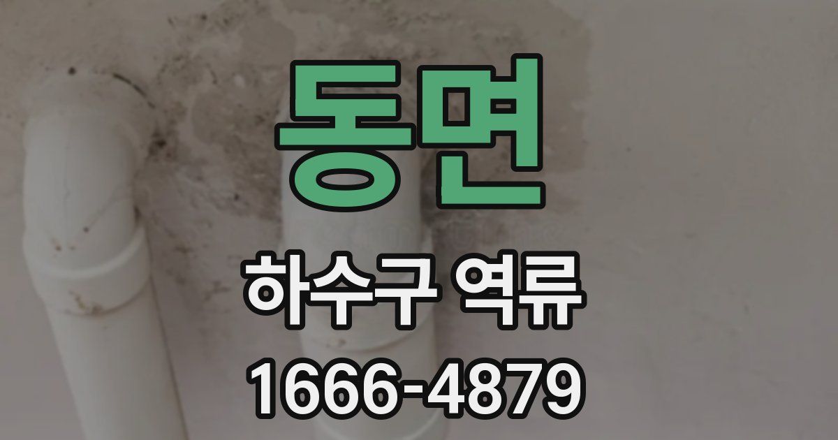 동면 하수구 역류