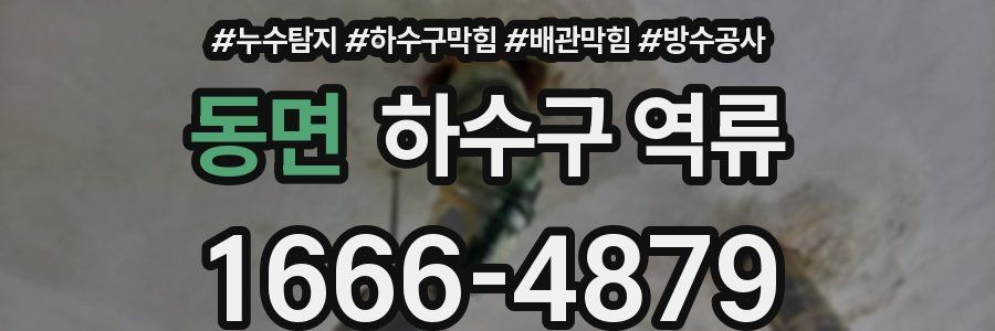동면 하수구 역류