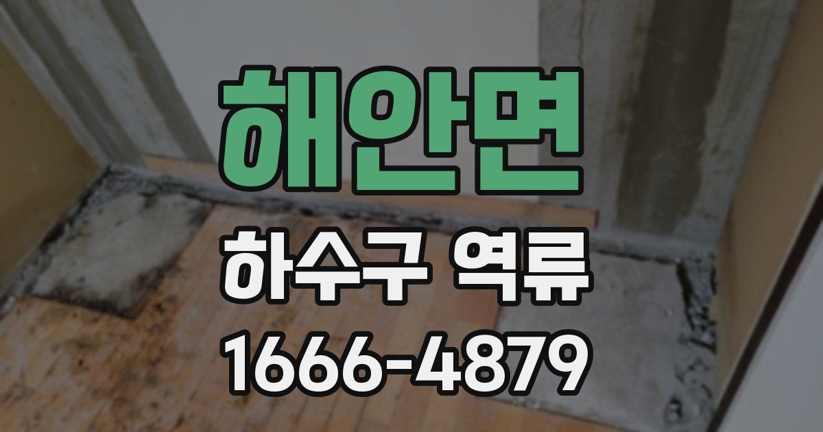 해안면 하수구 역류