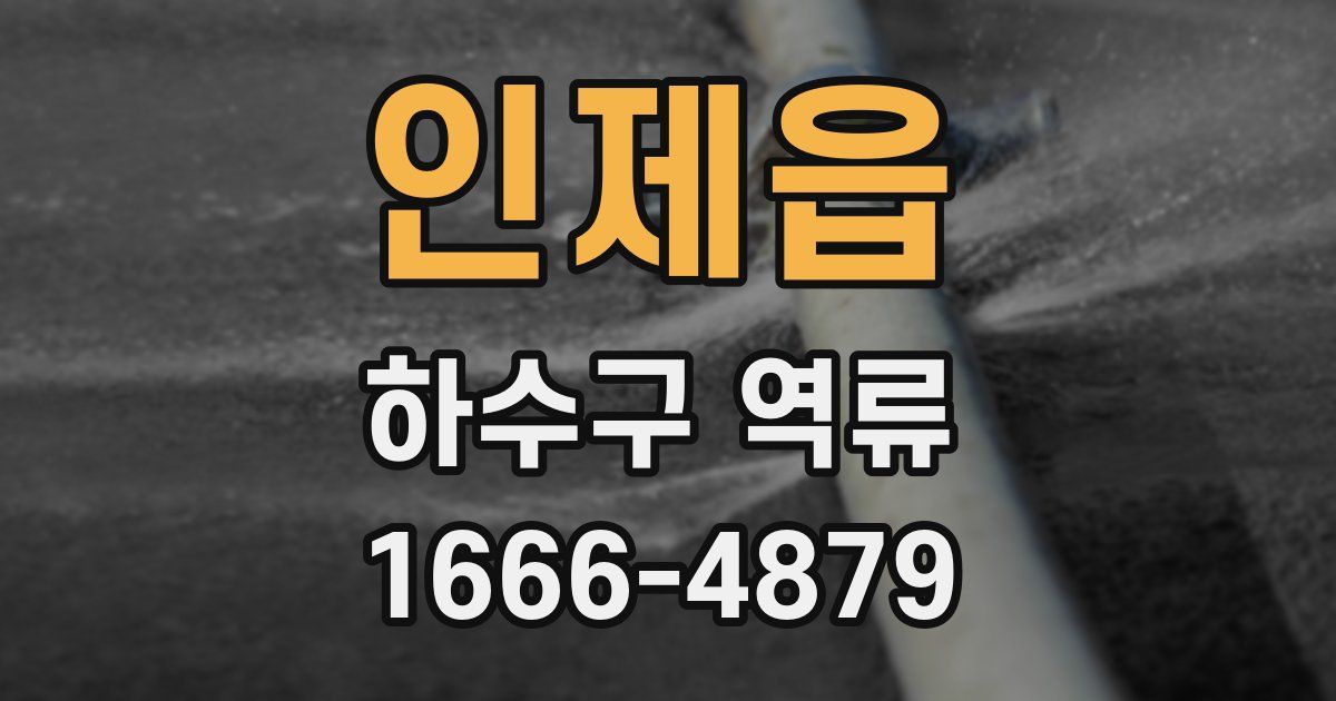 인제읍 하수구 역류