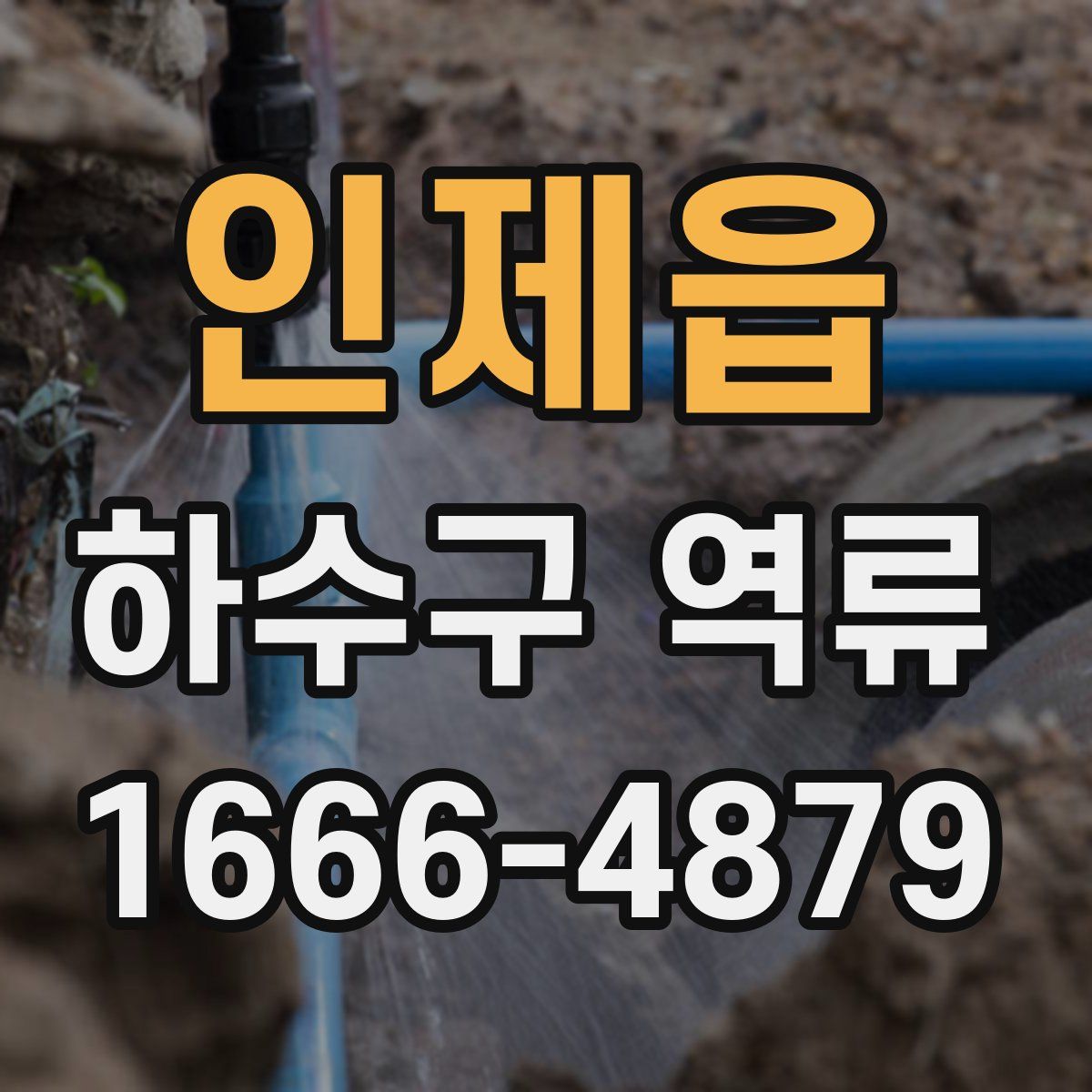인제읍 하수구 역류