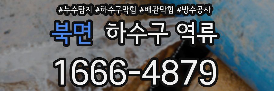 북면 하수구 역류