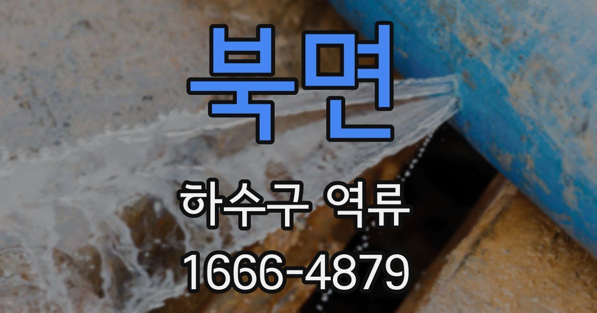북면 하수구 역류