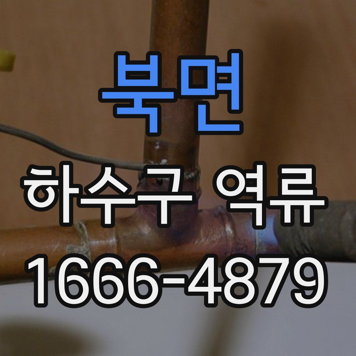북면 하수구 역류