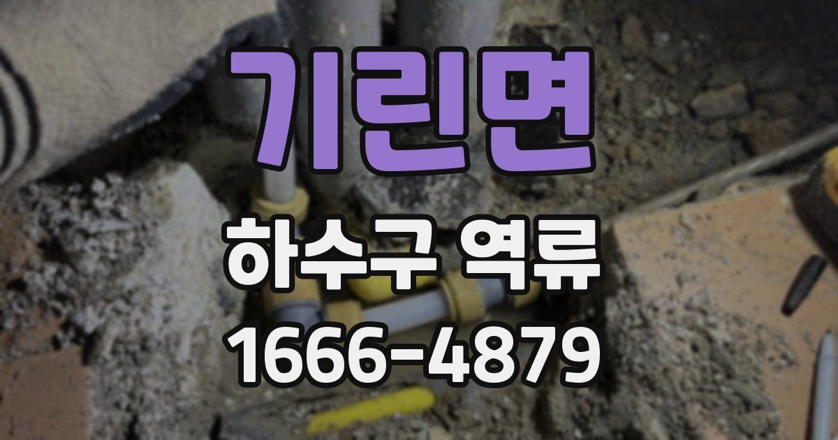 기린면 하수구 역류