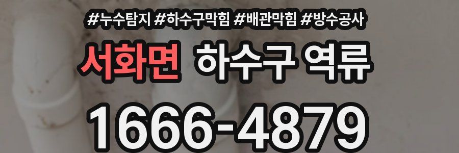 서화면 하수구 역류