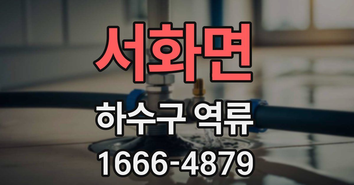 서화면 하수구 역류