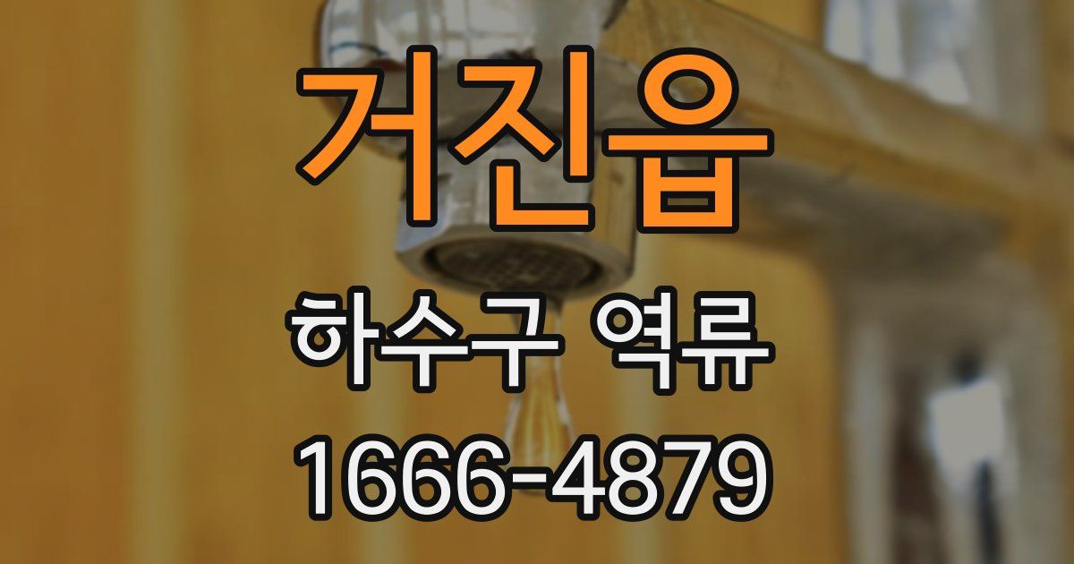 거진읍 하수구 역류