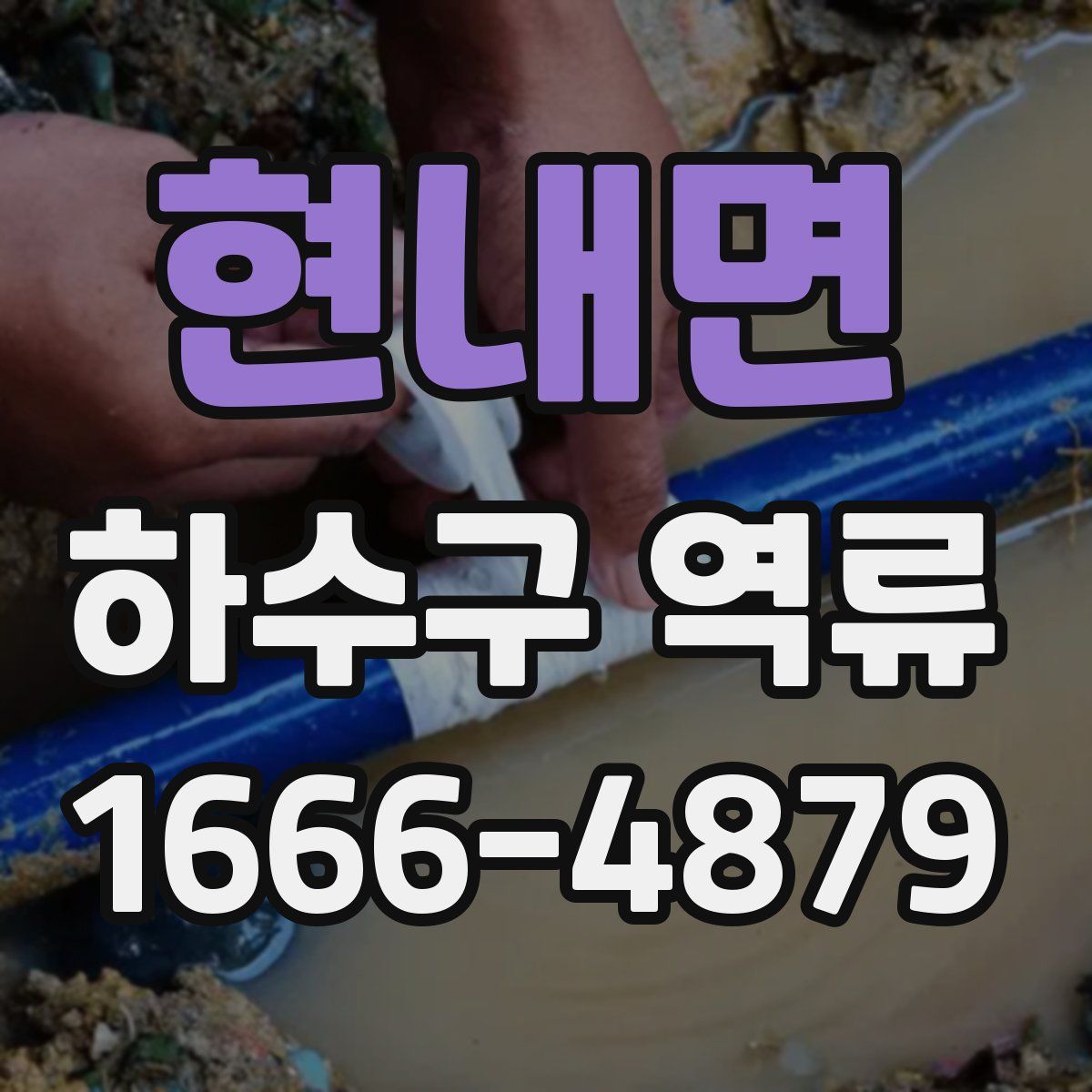 현내면 하수구 역류