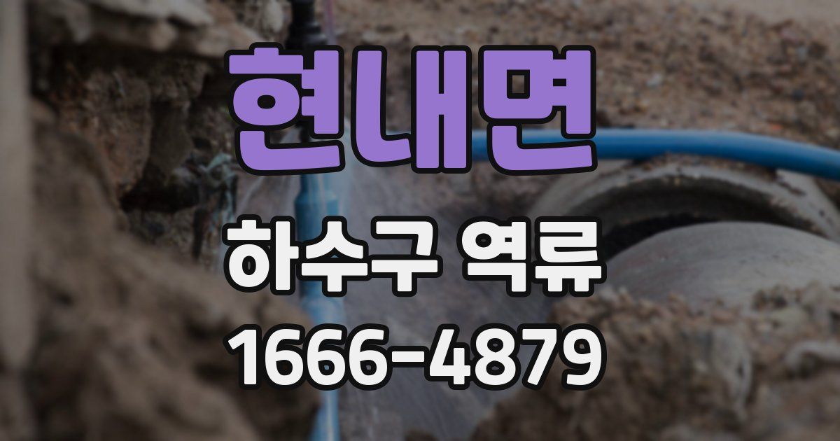 현내면 하수구 역류