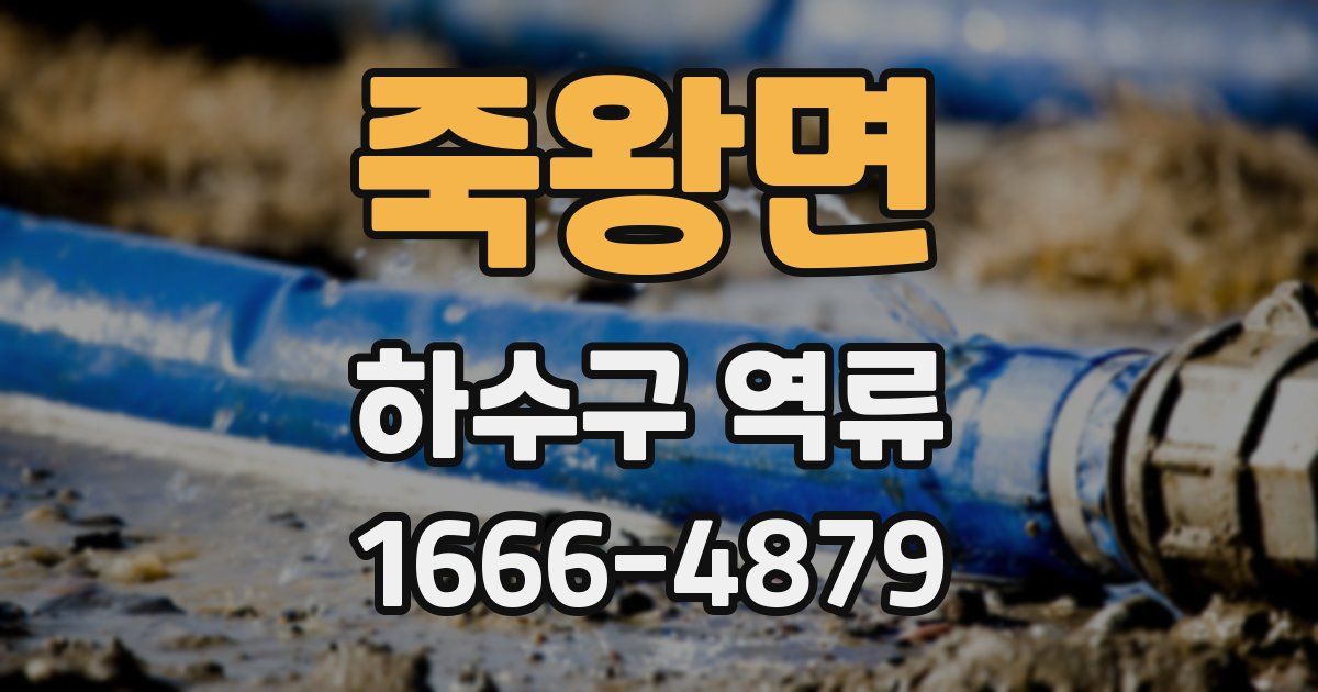 죽왕면 하수구 역류