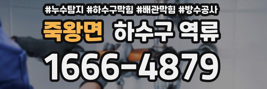 죽왕면 하수구 역류