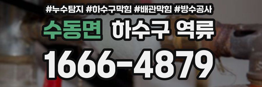 수동면 하수구 역류