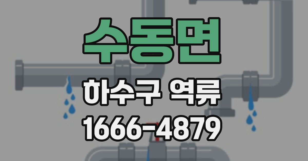 수동면 하수구 역류