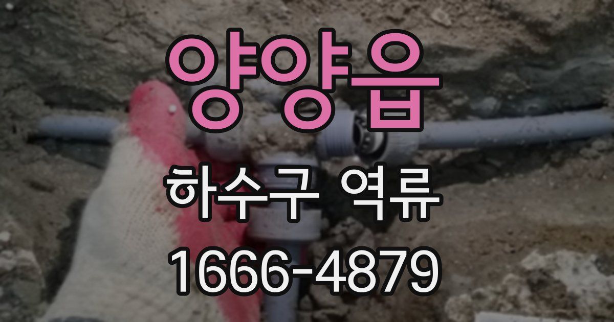 양양읍 하수구 역류