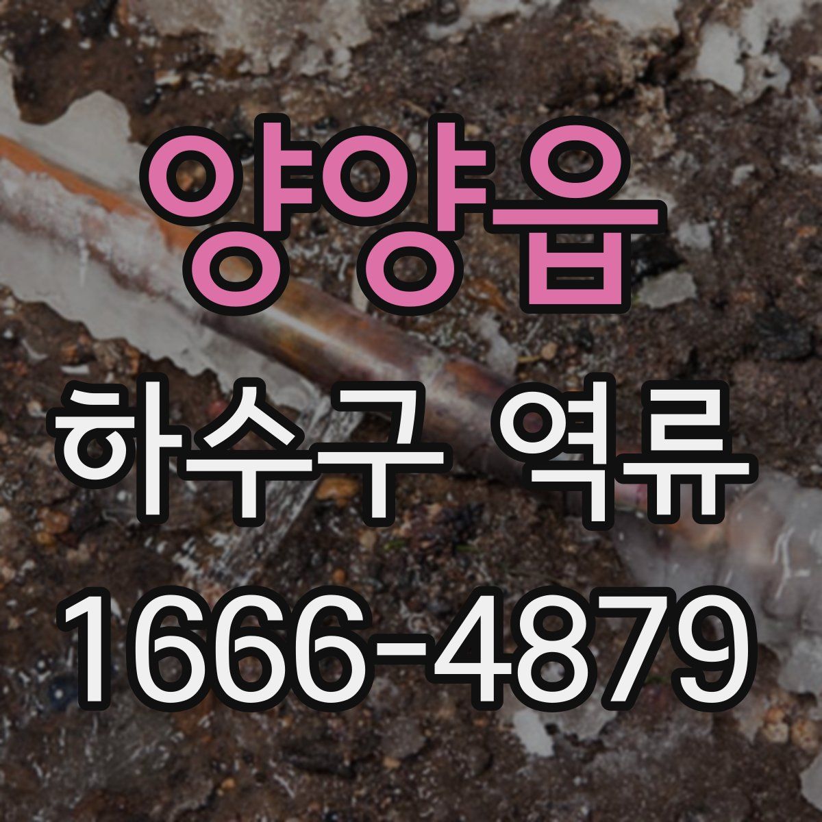 양양읍 하수구 역류