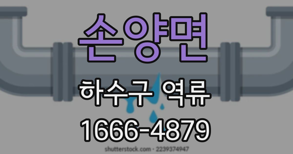 손양면 하수구 역류