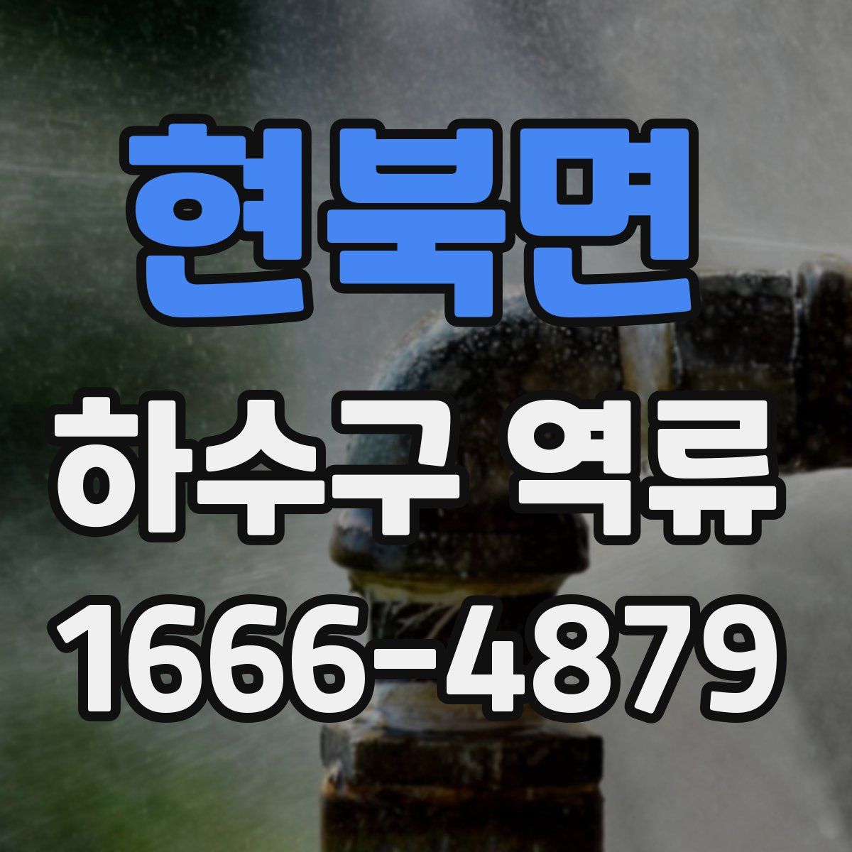 현북면 하수구 역류