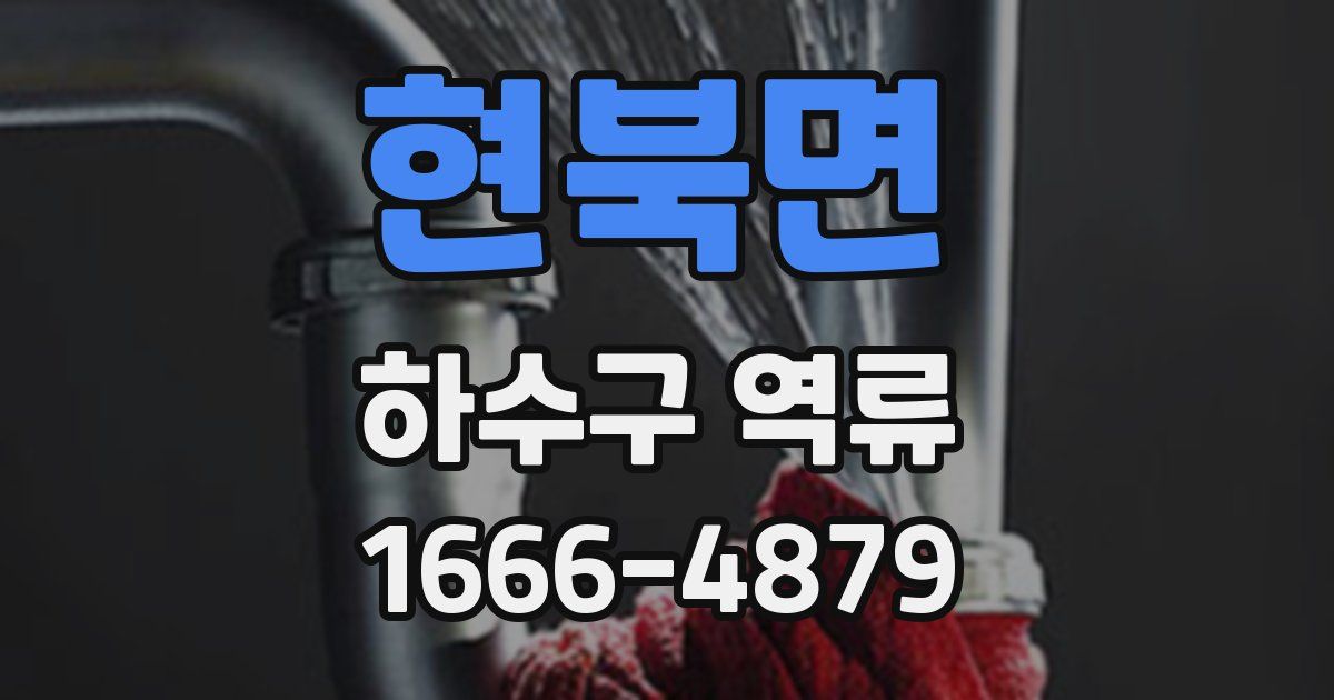 현북면 하수구 역류