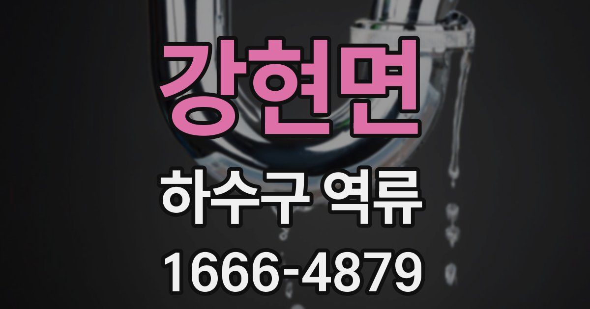 강현면 하수구 역류