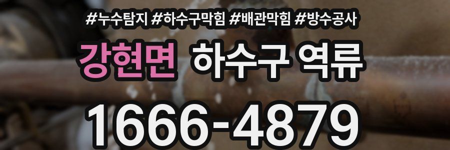 강현면 하수구 역류