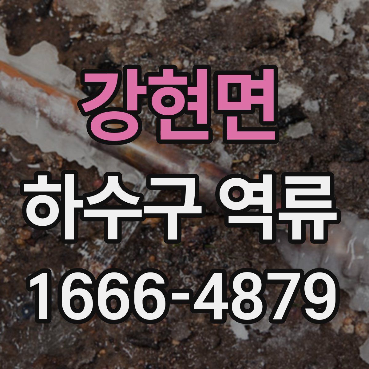 강현면 하수구 역류
